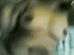 চুল, বহু পুরুষের এক  ...