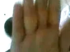 হেইডেন প্যানেত্তিয়র ...