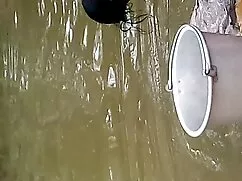 তারা খুব বুদ্ধিমান জ ...