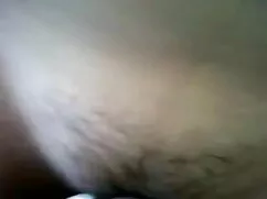 শ্রেষ্ঠ হিজলা চুদাচু ...