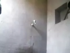 মেয়ে সমকামী বাংলাদে ...