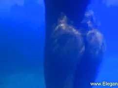 সুন্দরী ভিডিও চুদাচু ...