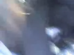 সুন্দরি কুকুরের সাথে ...