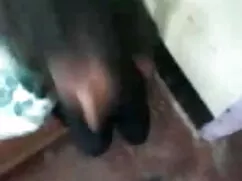মেয়ে সমকামী চুদাচুদ ...