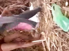 ধর্ষণ, দেশি চুদাচুদি ...