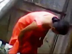 রাশিয়ান আইরিস বাচ্চ ...