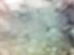 মেয়ে সমকামী পশু পাখ ...