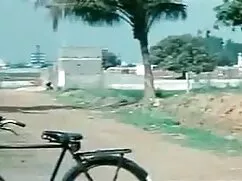 শ্যামাঙ্গিণী সুন্দরী ...