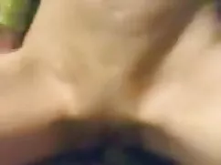 অন্য কুকুর চুদা চুদি ...
