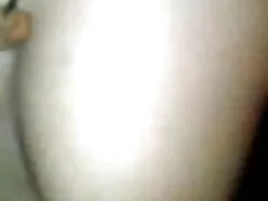 এশিয়ান, জাপানি বাঙা ...