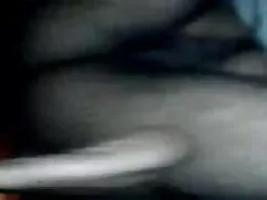 সে কোন মোরগকে চুদাচু ...