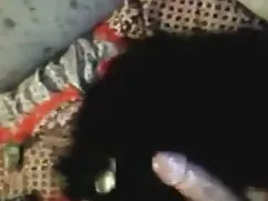 স্বর্ণকেশী, সুন্দর,  ...