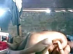 স্বামী ও বাঙালি মেয় ...
