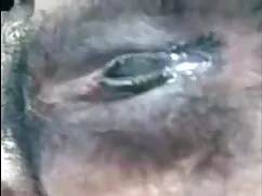 স্বামী ও স্ত্রী চুদা ...