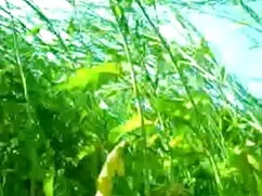 পুরুষ সমকামী, মুখের  ...