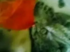 সঙ্গে মেয়ে চুদাচুদি ...