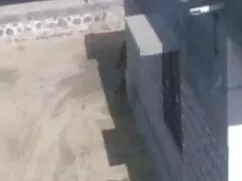 পাণিমৈথুন, বাংলাদেশি ...