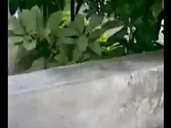জিন ছাড়া, এশিয়ান,  ...
