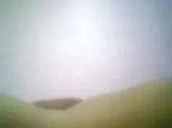 স্বামী ও স্ত্রী বাচ্ ...