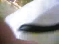 খেলনা, মেয়েদের হস্ত ...
