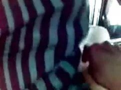 প্রকল্প ভয় ল্যান্ডস ...