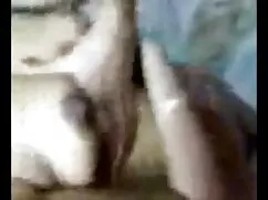 37 জাপানি ভোল ইংলিস  ...