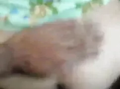 সুন্দরী চুদাচুদি ভিড ...