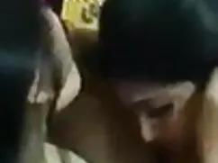 সব স্বাদ জন্য কুকুরে ...