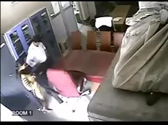 স্তন অন্যদের চাচিচুদ ...